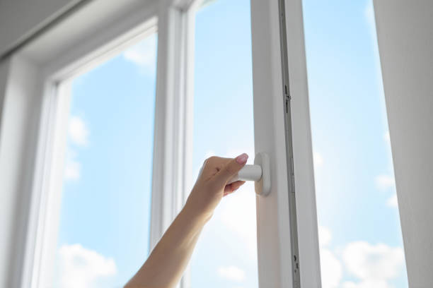 Best Double-Hung Windows in Tennessee Ridge, TN